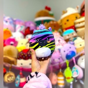 NWOT FROM MYSTERY BAG 5” 🌈 🦓 SAFIYAH THE COLORFUL ZEBRA